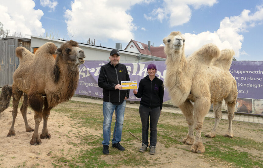 Humbaur Geschäftsführer übergibt Spendenschek an Krümelhof Augsburg, rechts und links stehen Trampeltiere | © Humbaur GmbH