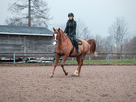 Eine Reiterin reitet auf einem brauen Pferd auf dem Reitplatz | © Humbaur GmbH